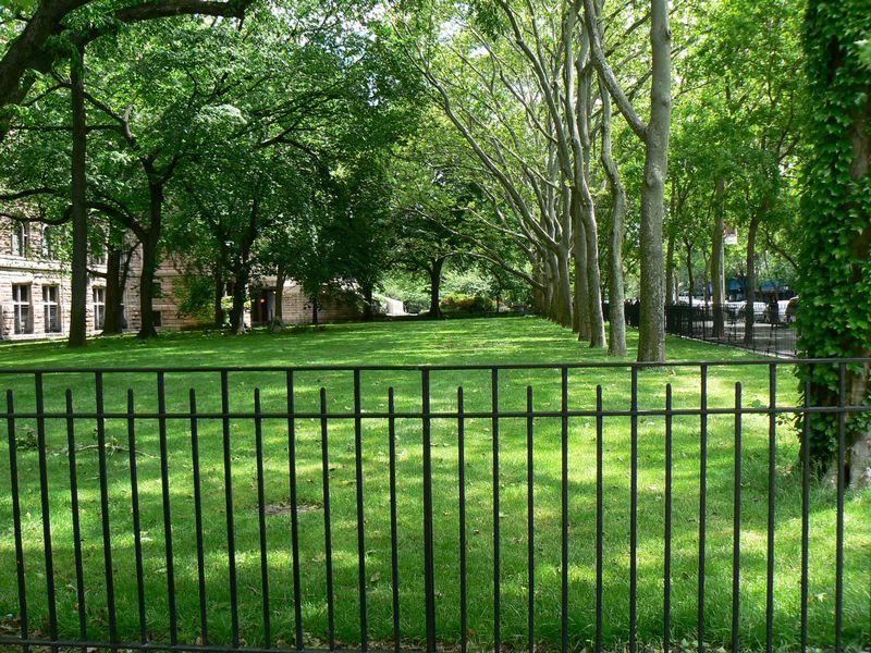 Central Park et autour: Theodore Roosevelt Park